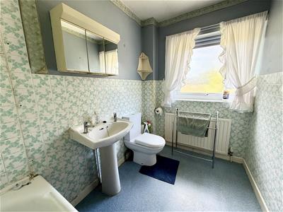 Picture 16